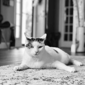 Meet your Posher, Kim